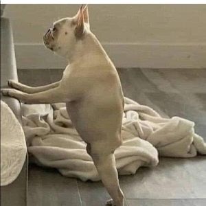 Meet your Posher, Kyle